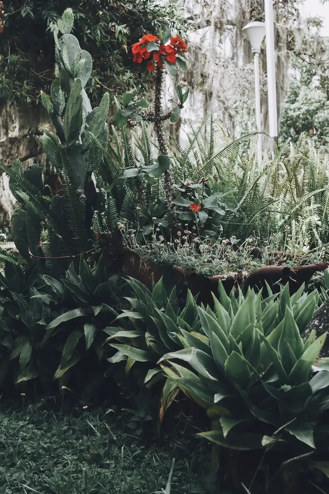 Maple Grove Garden Services
