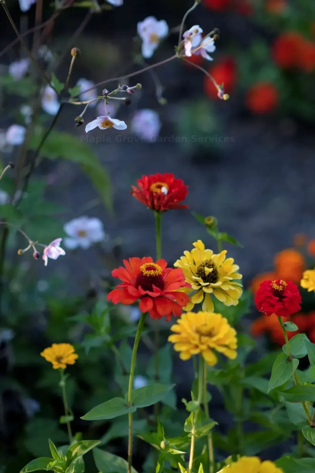Seasonal Garden Refresh for a Residential Property