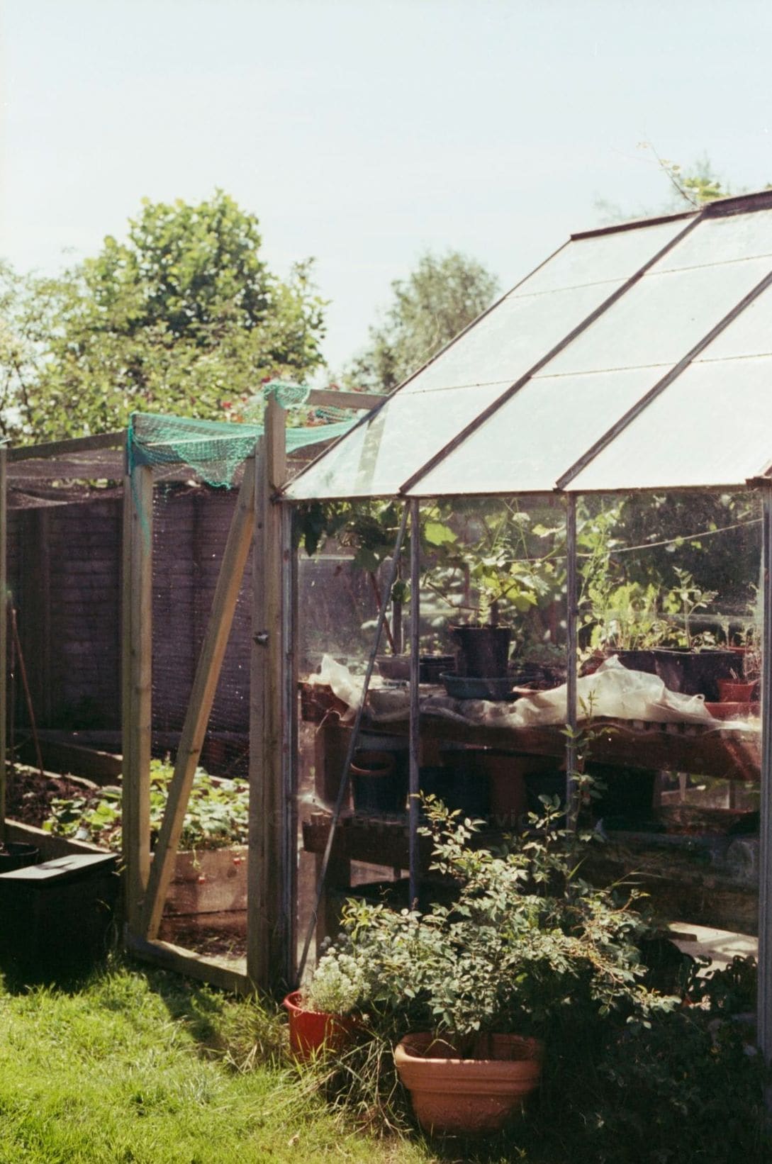 Maple Grove Garden Services 11