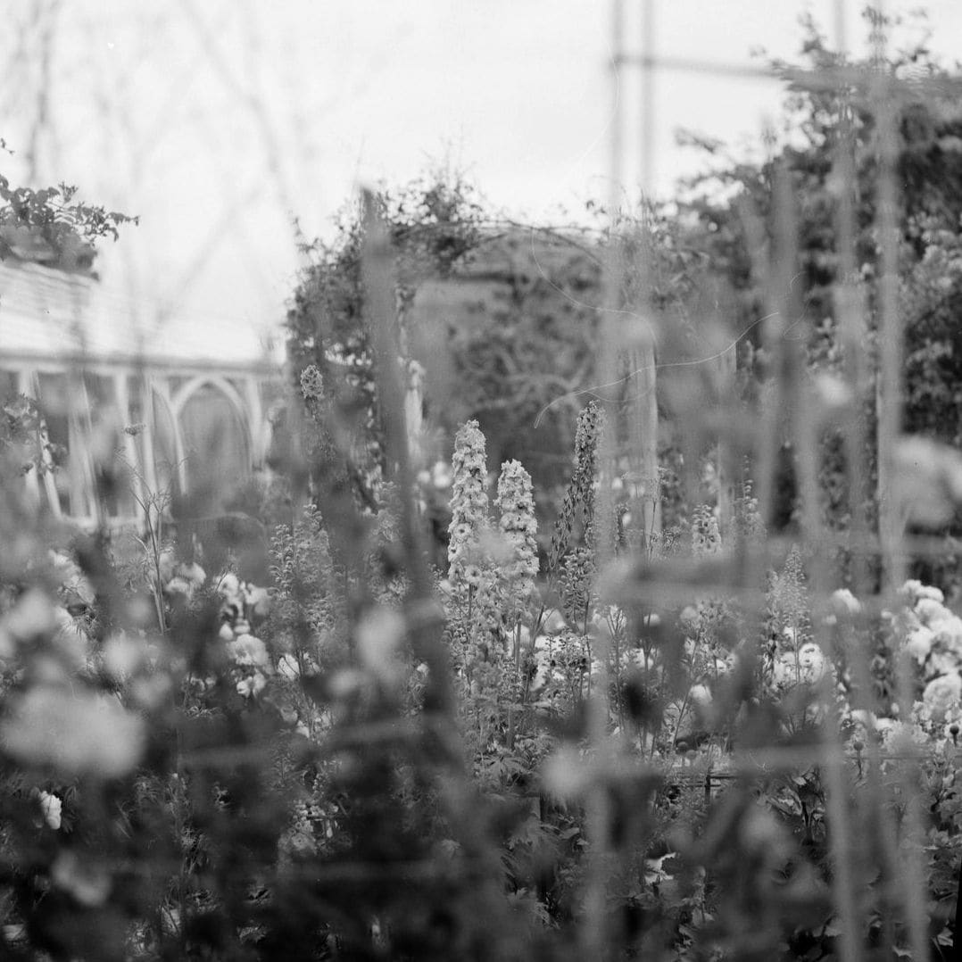 Maple Grove Garden Services 15