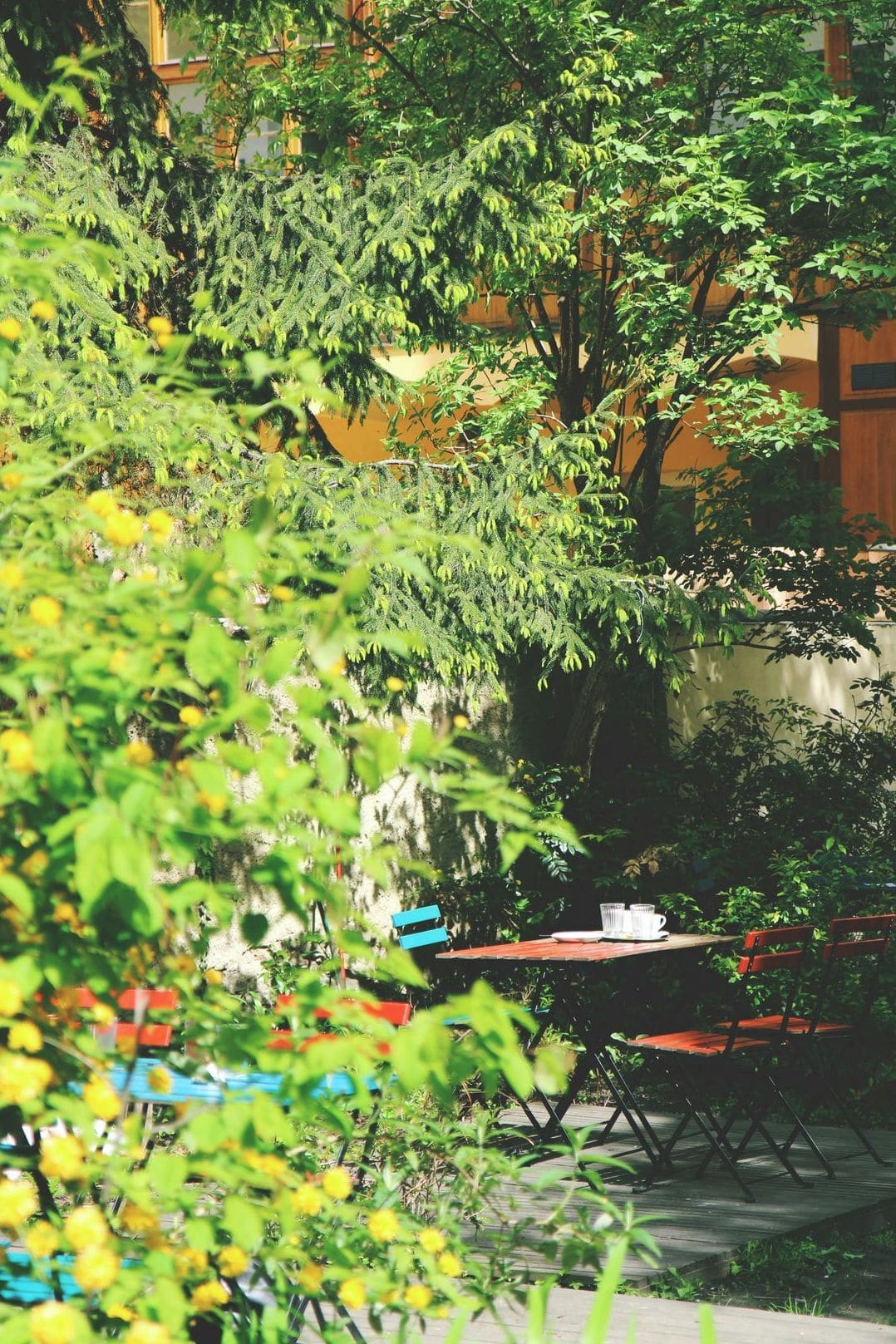 Maple Grove Garden Services 2