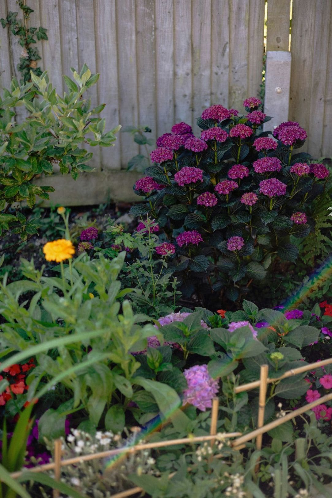 Maple Grove Garden Services 3