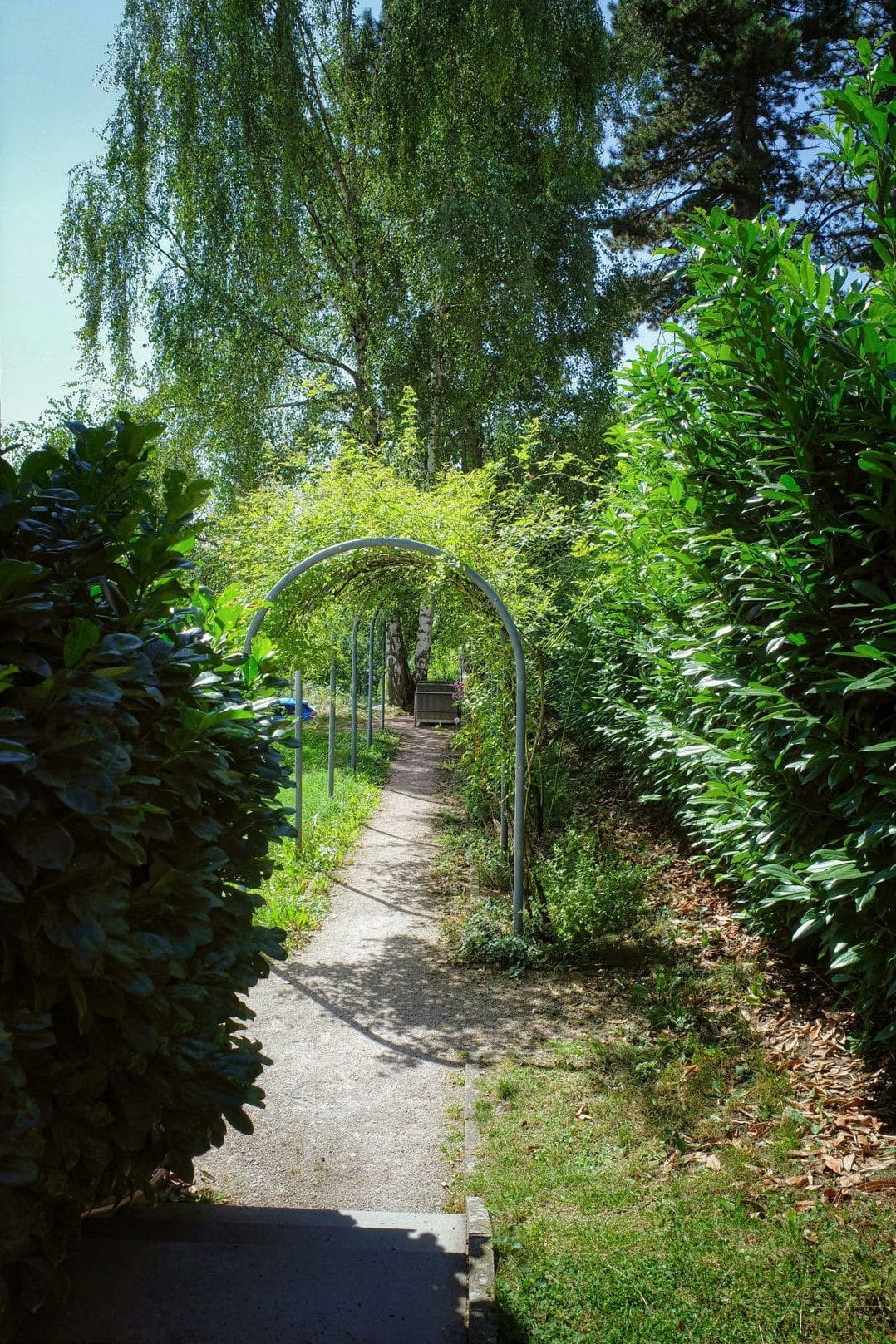 Maple Grove Garden Services 4