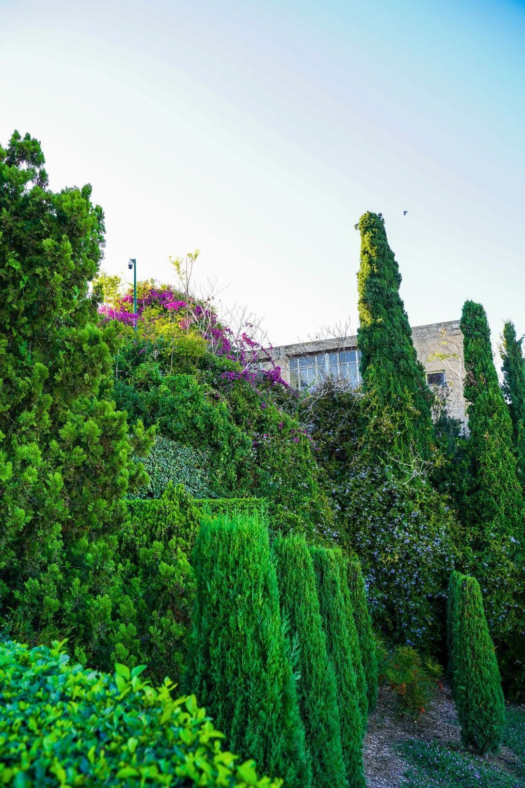 Maple Grove Garden Services 6