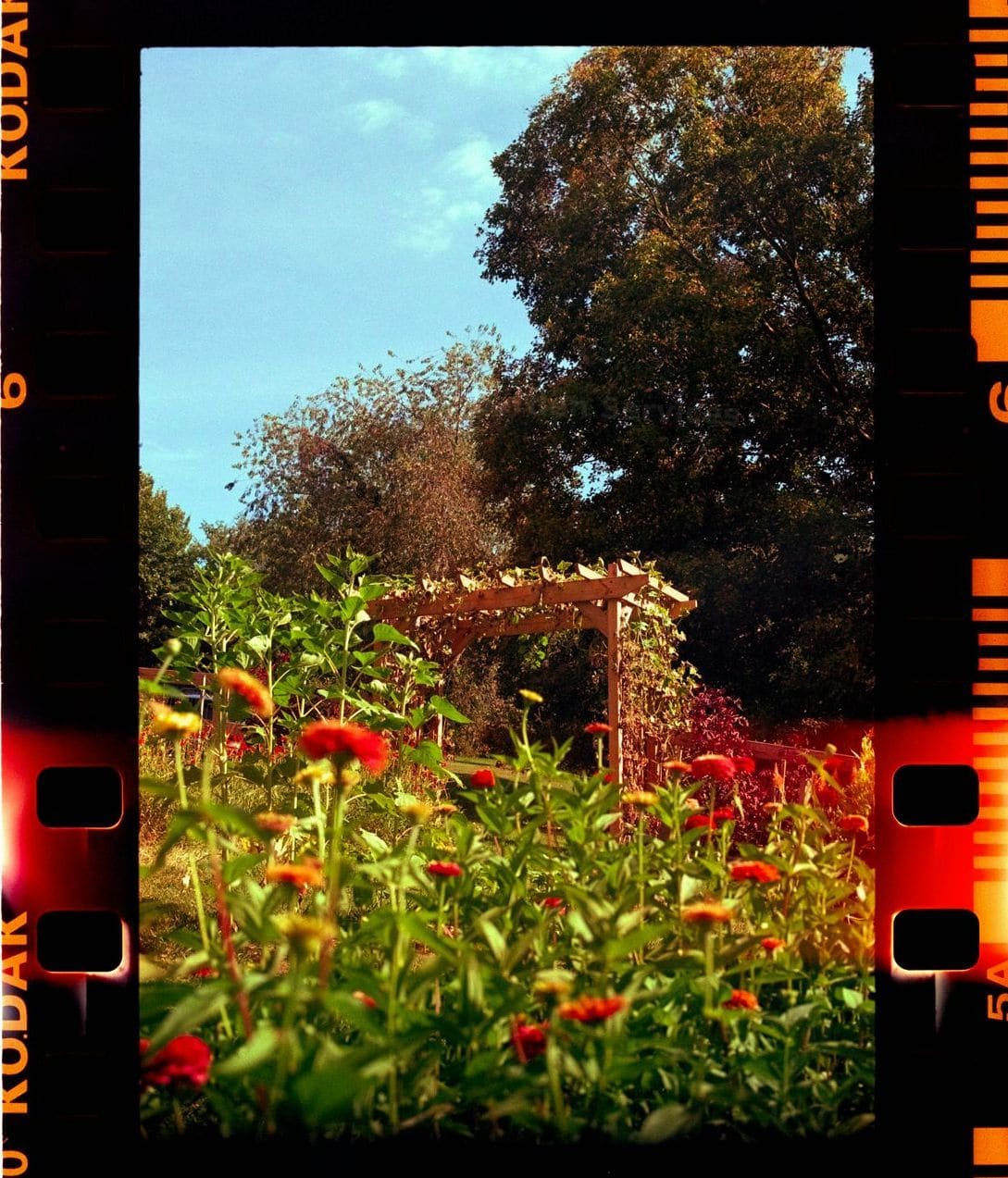 Maple Grove Garden Services 7