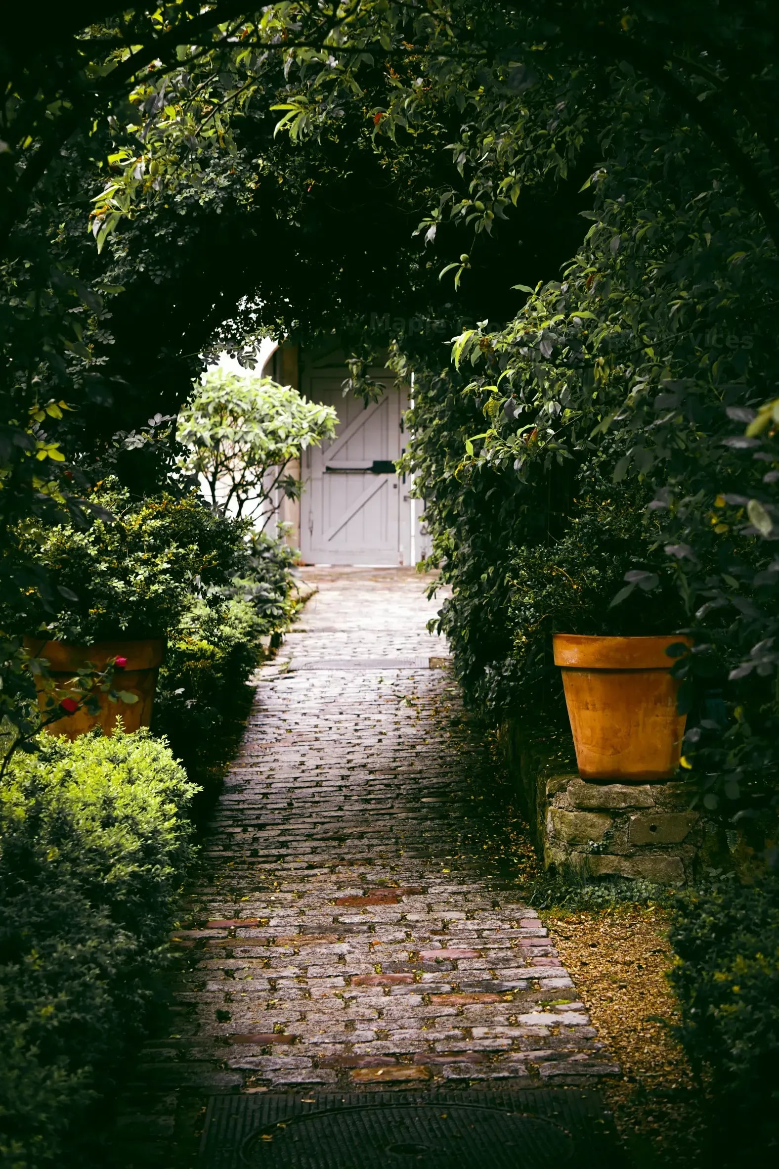 Maple Grove Garden Services