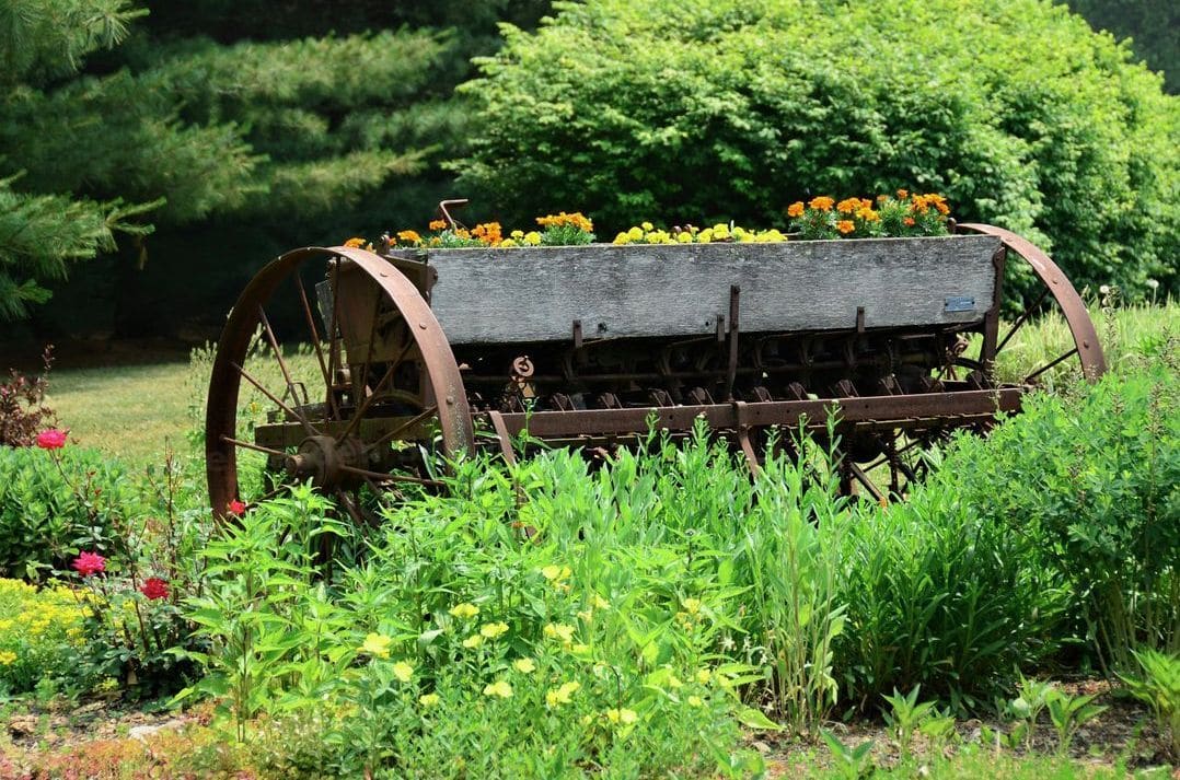 Lawn care and edging